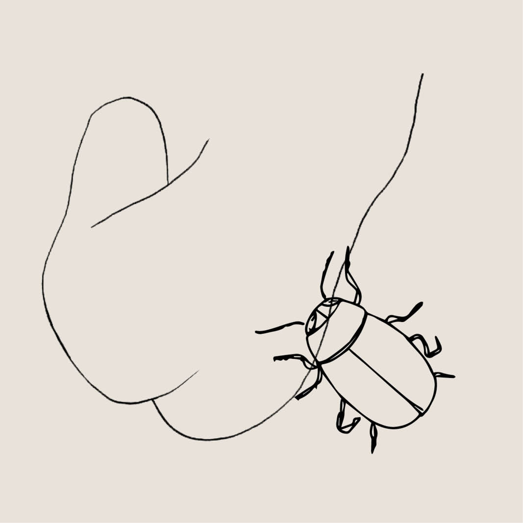 Gezeichneter Frauenkörper mit Käfer