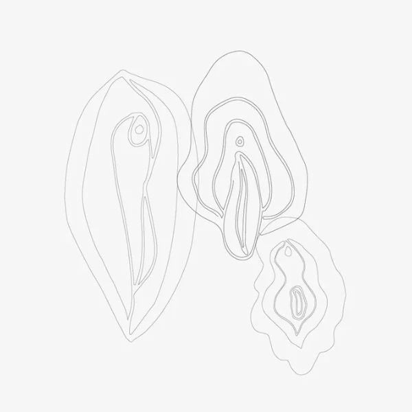 Vajacial Beauty Treatment F r Deine Vulva DR VIVIEN KARL vajacial-beauty-treatment-f-r-deine-vulva-dr-vivien-karl