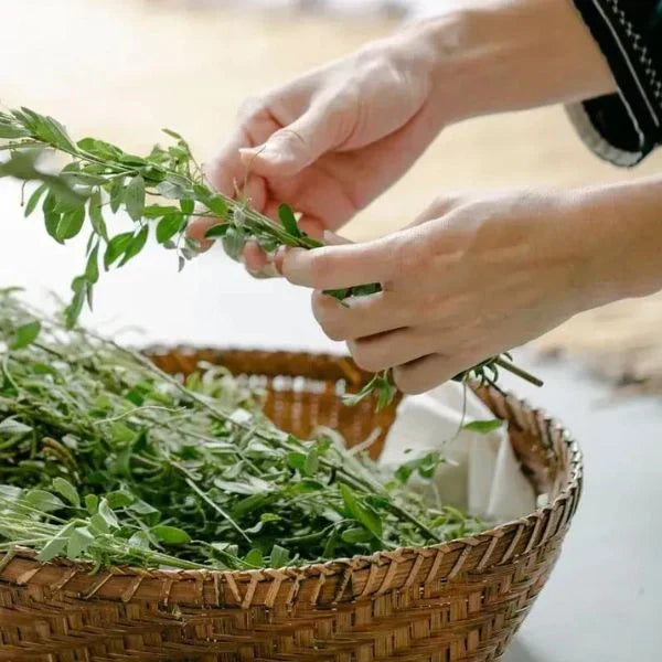 Vaginalpilz Hausmittel