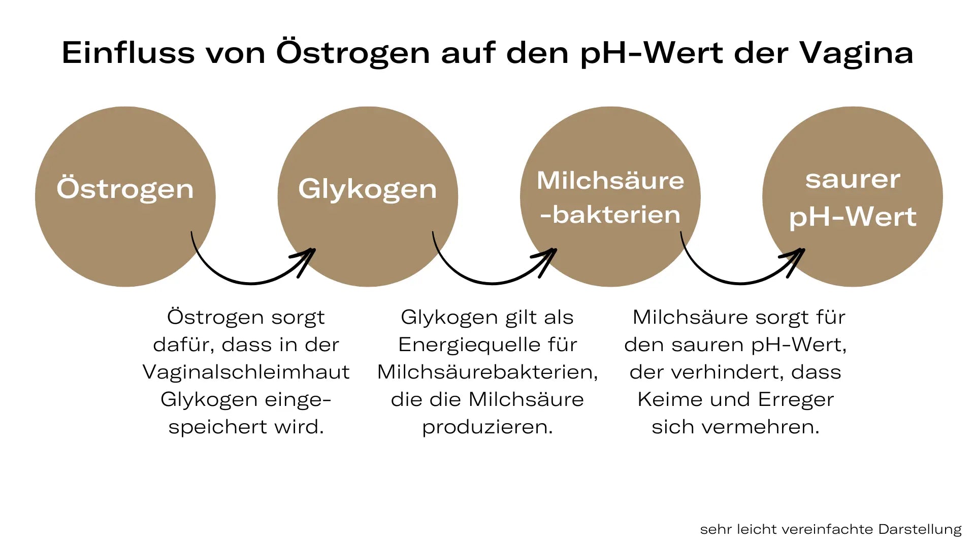 Oestrogen_4PhasenderWechseljahre