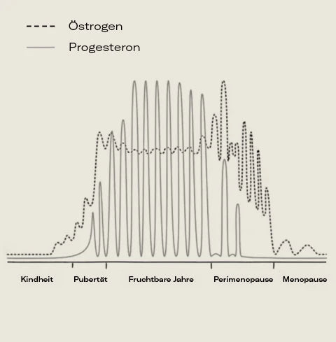 Östrogen und Progesteron im Laufe des Lebens