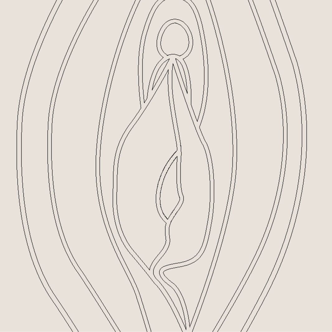 Illustration Vulva
