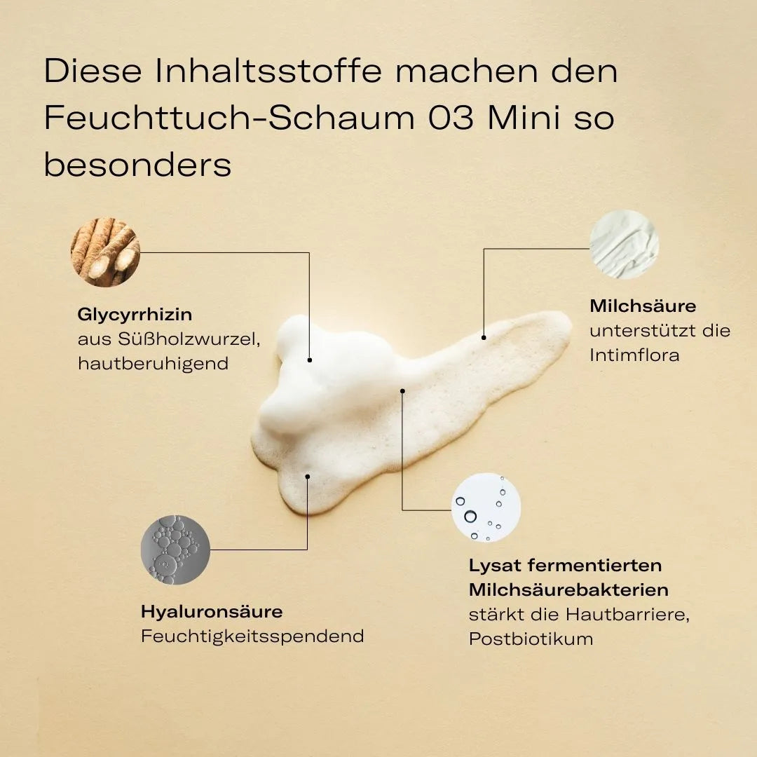 Feuchttuch-Schaum für das Toilettenpapier