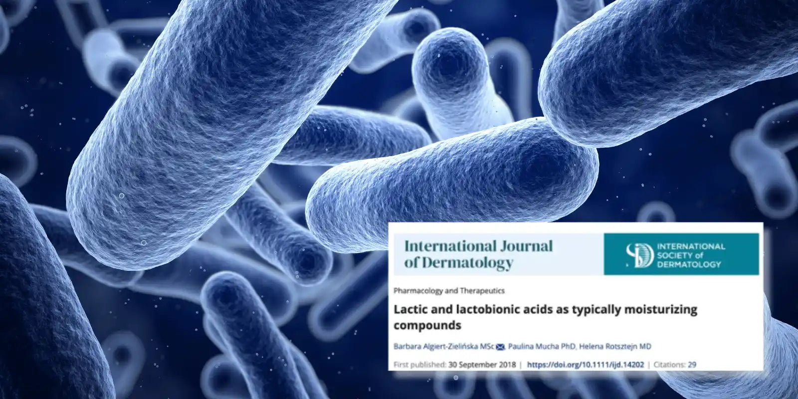 Studie zur Milchsaeure